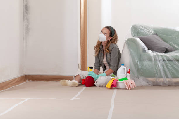 Reliable Mold Remediation contractor in Knightdale, NC by Mold Remediation HQ
